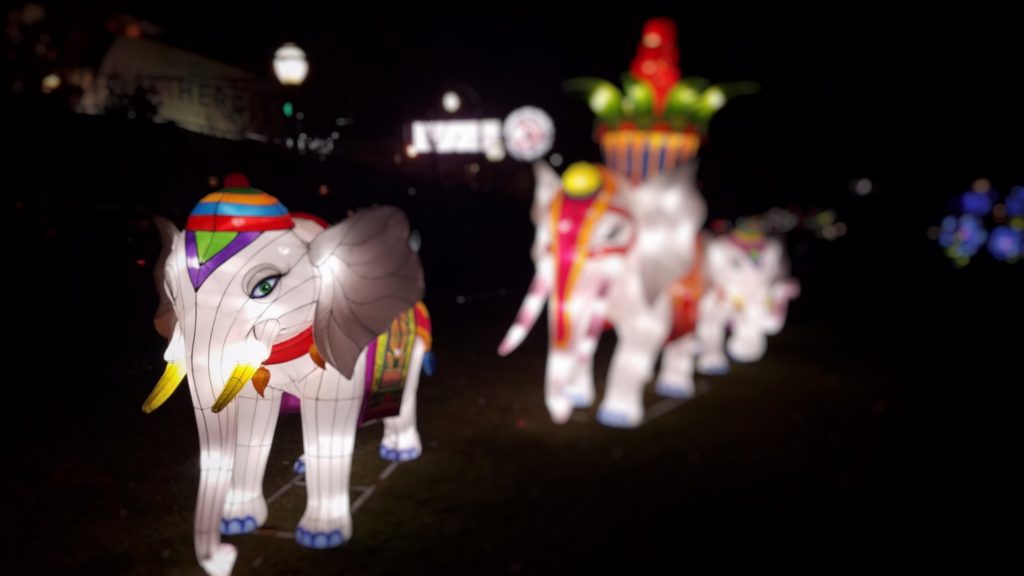 Elephant Christmas lights in Centennial Olympic park