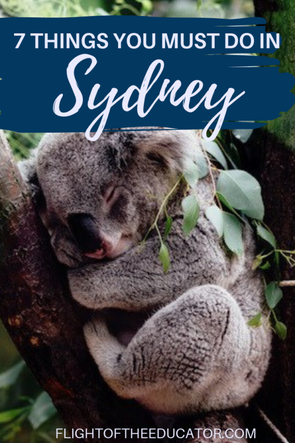 7 Friendly or Romantic Things to Do in Sydney | Flight of the Educator