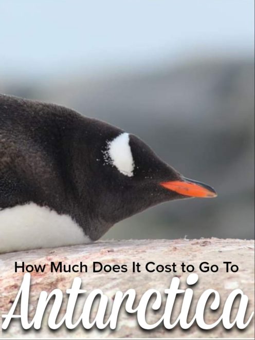 Antarctica is a dream for most people, but it can still be within your grasp! Antarctica is expensive but maybe not as much as you think! Click to read my trip costs from my Antarctica Cruise! It's worth it! #Antarctica #Budgets #BucketList #Dreamtrips #penguins