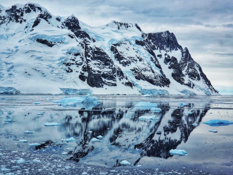 How Much Does It Cost To Go To Antarctica? My Antarctica Trip Cost