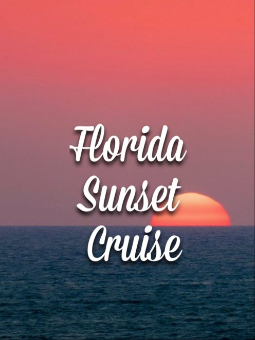 Take a look at two of Florida's greatest things to see -- dolphins and sunsets on a cruise :D  You can get sunset cruises from Clearwater, St. Pete, and Tampa!  #Florida #Dolphin #Sunset #Clearwater #StPete #Tampa #Dolphin Cruise