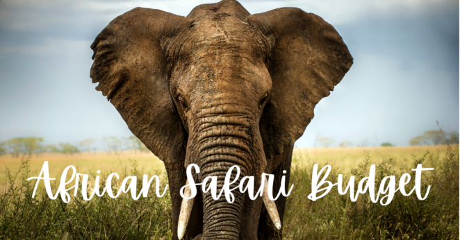 My South African Safari Price Breakdown
