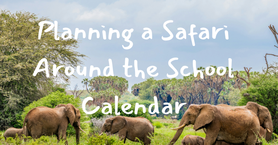 Kenya on Summer Break: A Teacher’s Guide to  Planning a Safari Around the School Calendar 